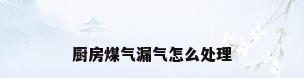 厨房煤气漏气怎么处理