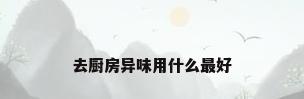 去厨房异味用什么最好