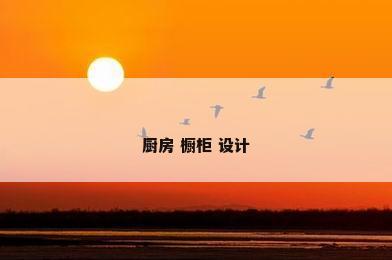 厨房 橱柜 设计