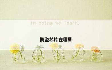 防盗芯片在哪里