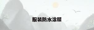 服装防水涂层