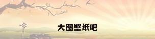 大图壁纸吧