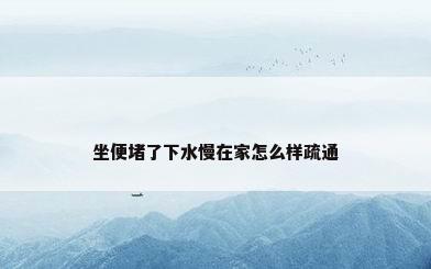 坐便堵了下水慢在家怎么样疏通