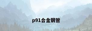 p91合金钢管