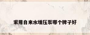 家用自来水增压泵哪个牌子好