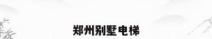 郑州别墅电梯