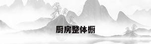 厨房整体橱
