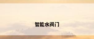 智能水阀门