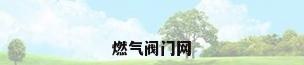 燃气阀门网