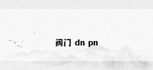 阀门 dn pn