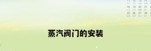 蒸汽阀门的安装