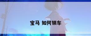 宝马 如何锁车