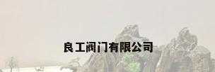 良工阀门有限公司