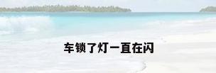 车锁了灯一直在闪