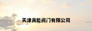天津高能阀门有限公司