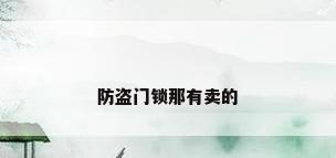 防盗门锁那有卖的