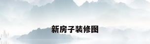 新房子装修图