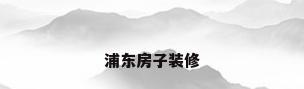 浦东房子装修