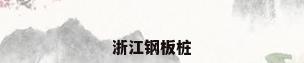 浙江钢板桩