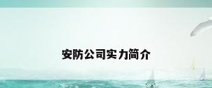 安防公司实力简介