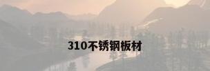 310不锈钢板材