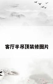 客厅半吊顶装修图片