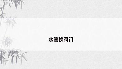 水管换阀门