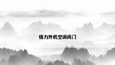 格力外机空调阀门