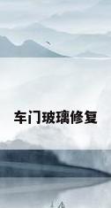 车门玻璃修复
