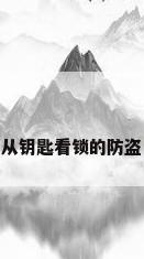 从钥匙看锁的防盗