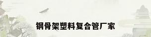 钢骨架塑料复合管厂家