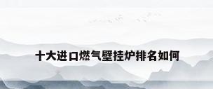 十大进口燃气壁挂炉排名如何