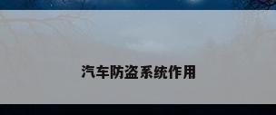 汽车防盗系统作用
