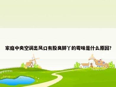 家庭中央空调出风口有股臭脚丫的霉味是什么原因?