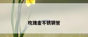 玫瑰金不锈钢管
