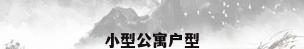 小型公寓户型