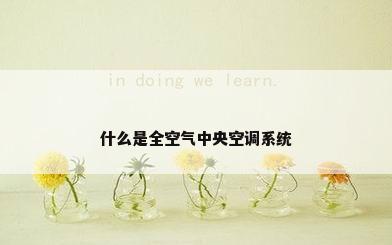 什么是全空气中央空调系统