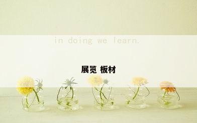 展览 板材