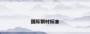 国际钢材标准