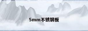 5mm不锈钢板