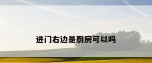 进门右边是厨房可以吗
