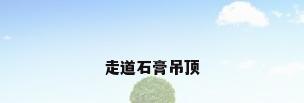 走道石膏吊顶