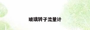玻璃转子流量计
