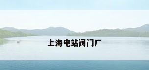 上海电站阀门厂