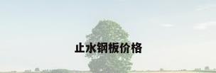 止水钢板价格