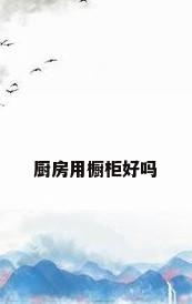 厨房用橱柜好吗