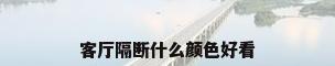 客厅隔断什么颜色好看