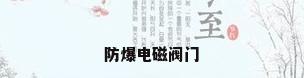 防爆电磁阀门