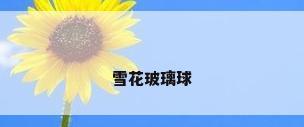 雪花玻璃球