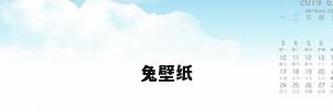 兔壁纸
